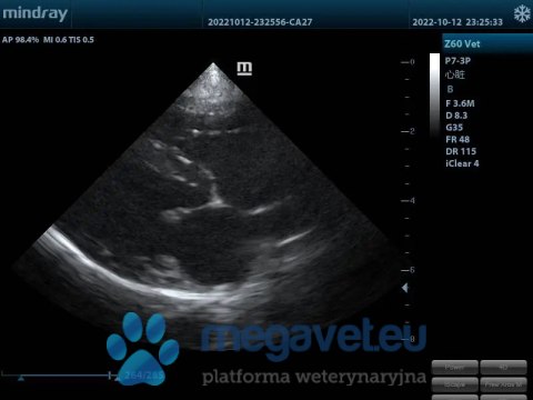 Z60 Vet - przenośne USG weterynaryjne (MWT)