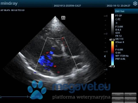 Z60 Vet - przenośne USG weterynaryjne (MWT)