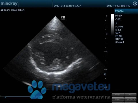 Z60 Vet - przenośne USG weterynaryjne (MWT)