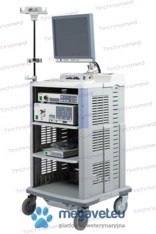 Zestaw endoskopowy Olympus 240 - wynajem (TCM)