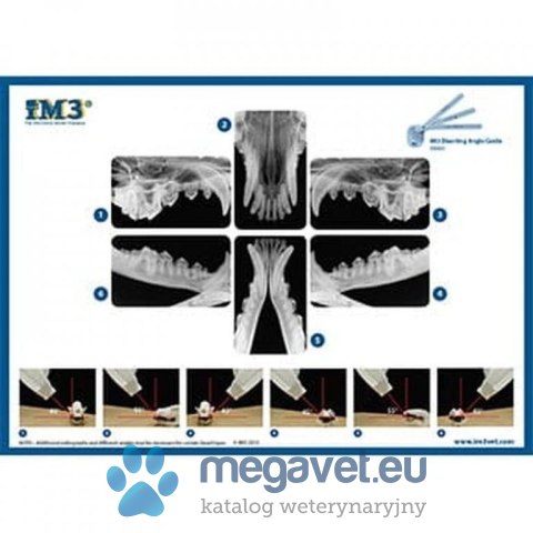 CR 7 system pośredni RTG (FDT)