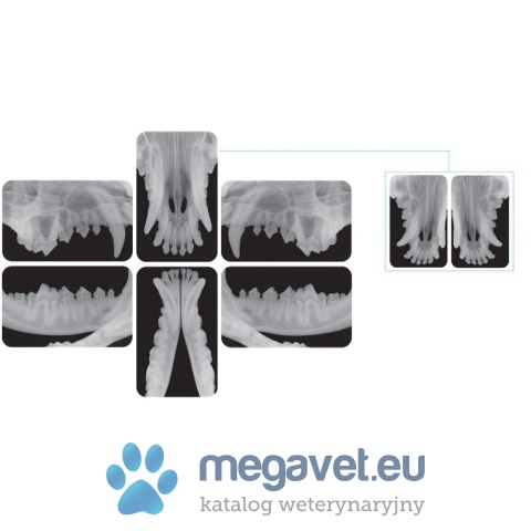 System Pośredni RTG iM3 CR 7 2.0 (FDT)