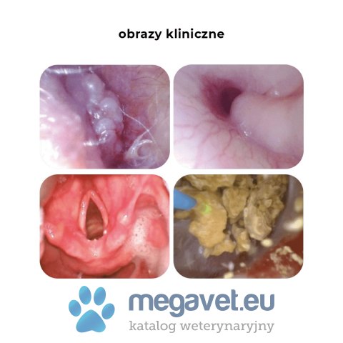 Endoskop weterynaryjny USB wielorazowy (BSM)