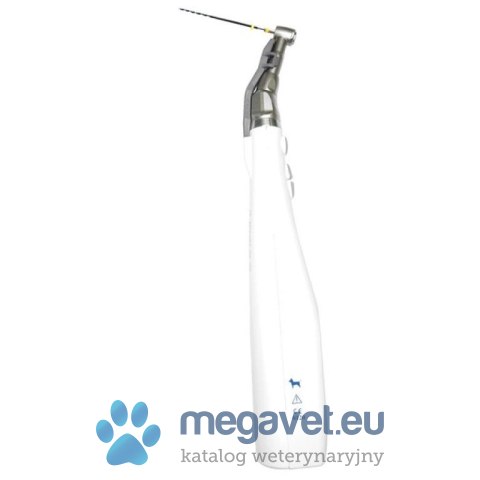 IM3 Endo-A-class Vet LED (FDT)