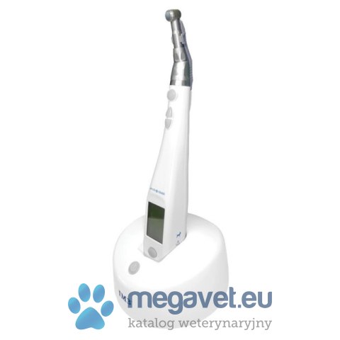 IM3 Endo-A-class Vet LED (FDT)