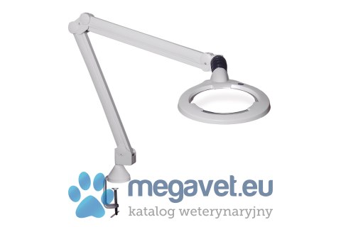 Lupa Lampa Circus LED 3,5D (MDA)