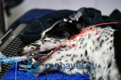 Opaski rurkowe iM3 ET (FDT)