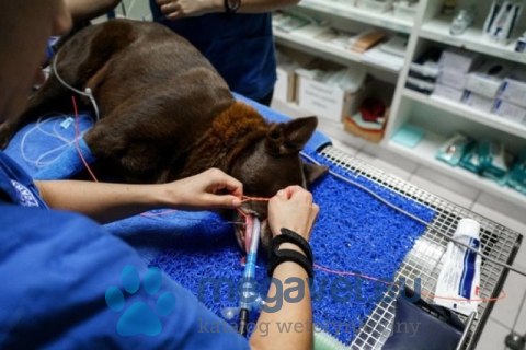 Opaski rurkowe iM3 ET (FDT)