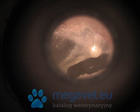 Otoskop - Videootoskop MacroView Welch Allyn (MDA)