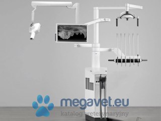 Pro X Centrum leczenia stomatologicznego (FDT)