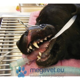 Retraktor wargowy (FDT)