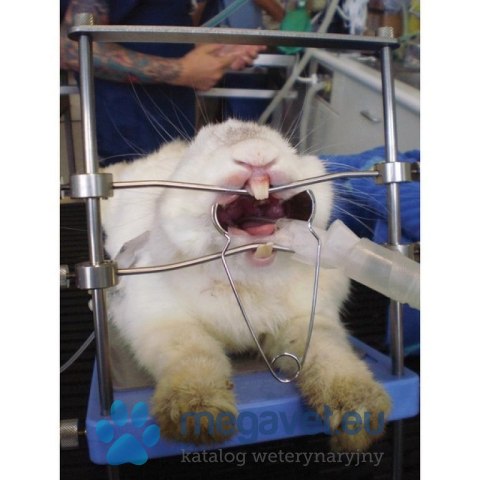 Stolik dla królików i gryzoni (FDT)