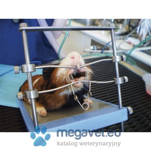 Stolik dla królików i gryzoni (FDT)