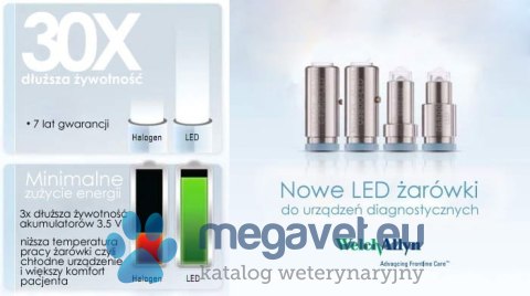Żarówka 06500 LED do otoskopu (MDA)