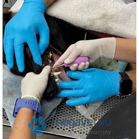 Zestaw iM3 Ergo Luxator XS - 5 sztuk (FDT)