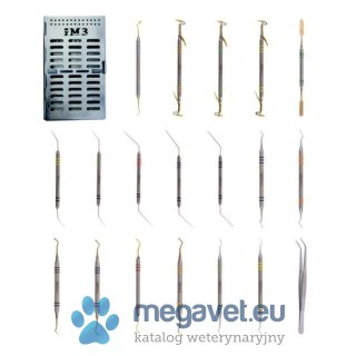 Zestaw narzędzi do endodoncji i odbudowy - 19 części (FDT)