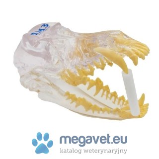 Zestaw rozwieraczy (FDT)