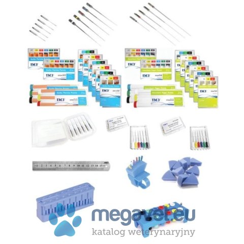 Zestaw startowy do endodoncji iM3 (FDT)