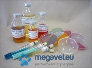 Ready-made microbiological media [BXA]