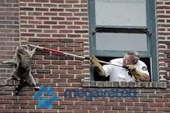 Chwytak "amerykański" Ketch-All [VXV]