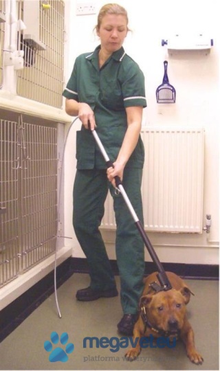 Chwytak na psy z szybkim zwalnianiem typu GRASPER [VXV]