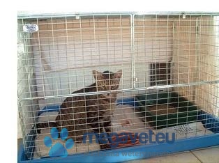 PET PEN SOLUTIONS CAGES [VXV]