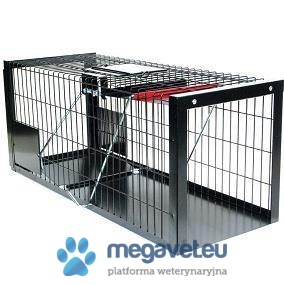 EEZISET CAT TRAP [VXV]