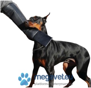 BITEMASTER ULTRA GLOVE [VXV] protective gloves