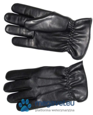 BITEMASTER EVERYDAY GLOVE [VXV]