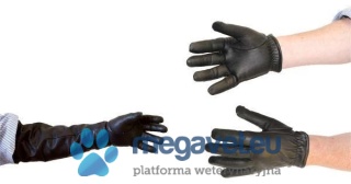 Workaday Gloves [VXV]