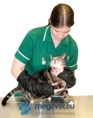 Rękawiczki Workaday Gloves [VXV]