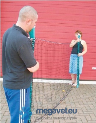 Sieć weterynaryjna Walk-Toward Net [VXV]