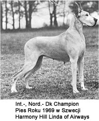 Pies Roku 1969 (wszystkich ras) w Szwecji Int. Ch. Harmony Hill Linda of Airways
