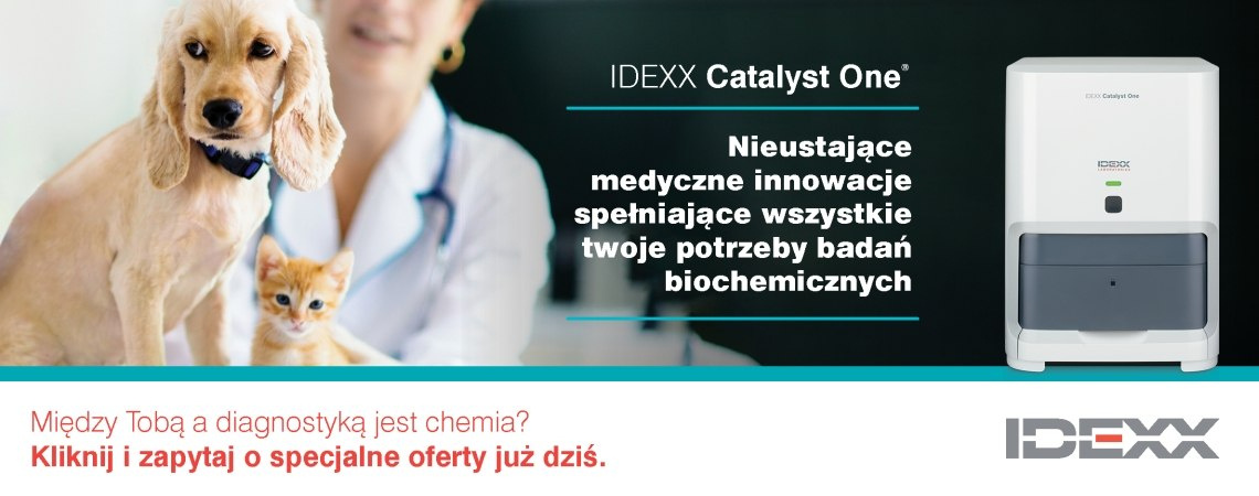 Catalyst One Digital Advert IDEXX